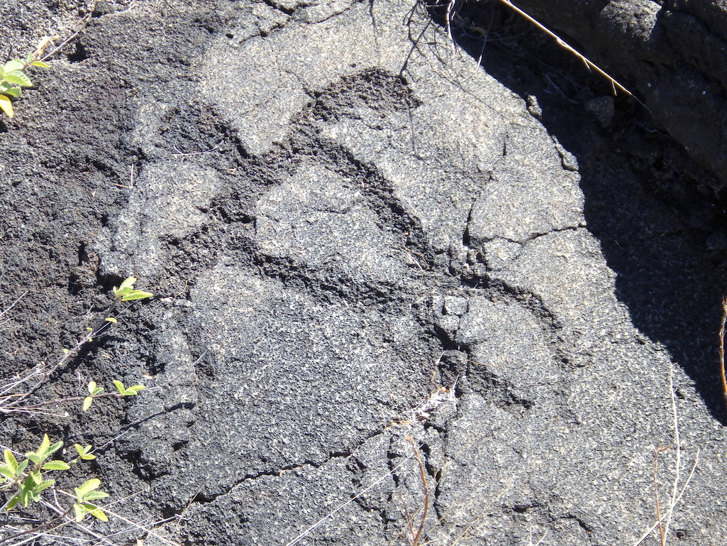 A sea turtle petroglyph at the Pu'uloa Petroglyph site at Hawai'i Volcanoes National Park/Kurt Repanshek file A sea turtle petroglyph at the Pu'uloa Petroglyph site at Hawai'i Volcanoes National Park/Kurt Repanshek file