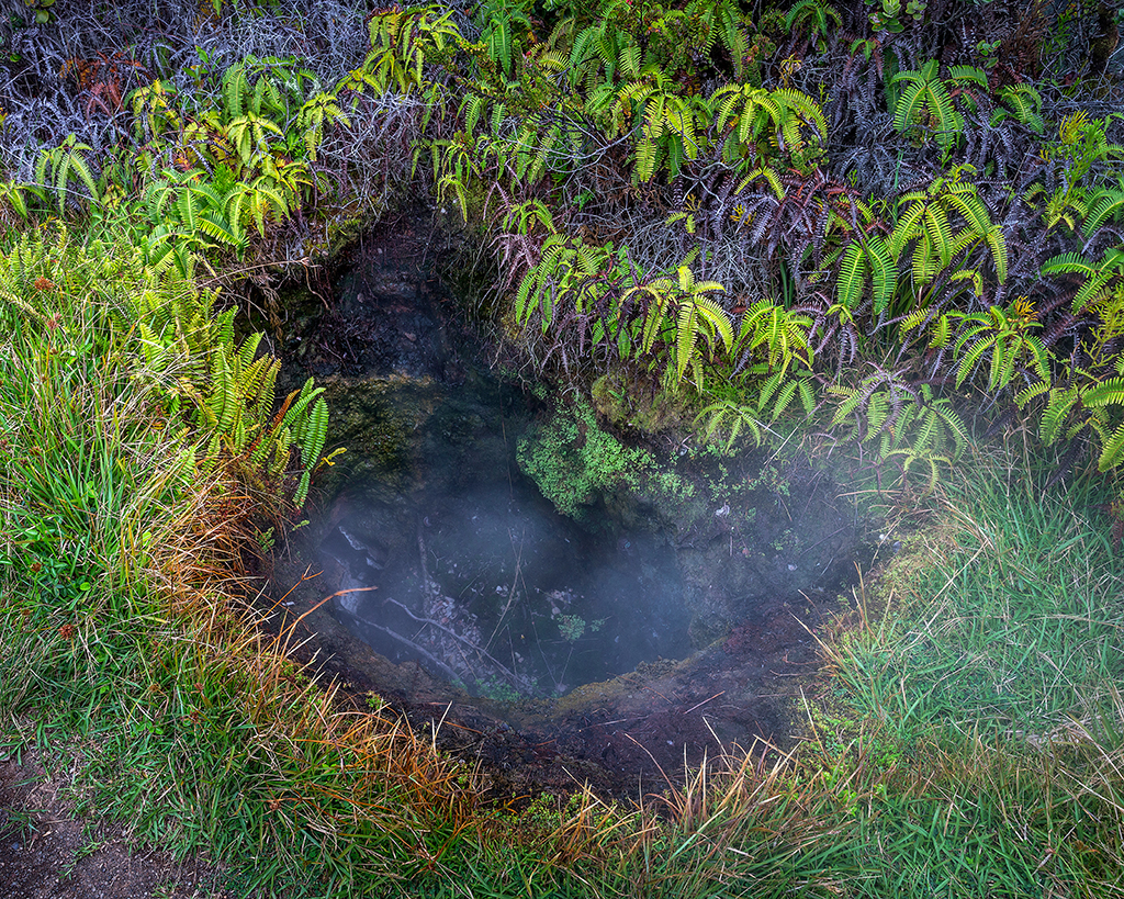 A trailside steam vent, Hawai'i Volcanoes National Park / Rebecca Latson
