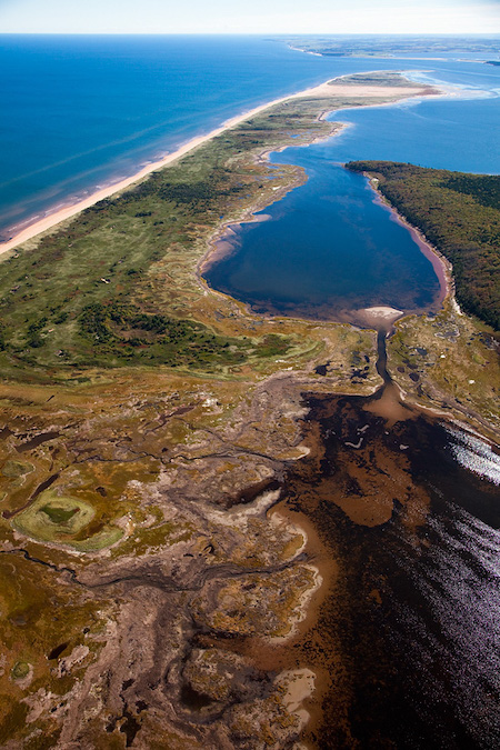 The Hog Island Sandhills are a chain of barrier islands. The Hog Island Sandhills are a chain of barrier islands.