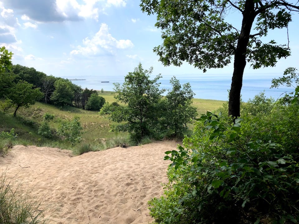 Cowles Bog and Lake Michigan/David Kroese
