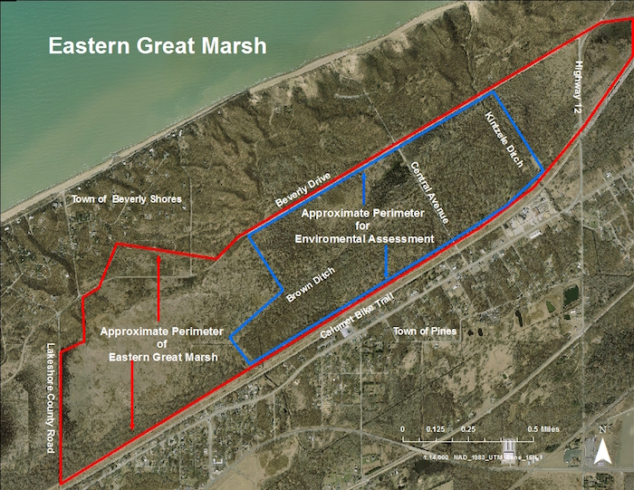 Eastern Great Salt Marsh at Indiana Dunes National Lakeshore/NPS