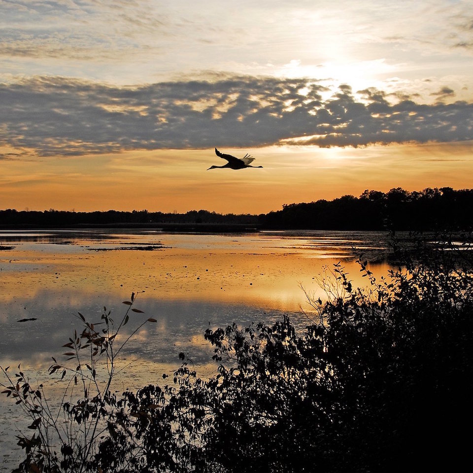 Indiana Dunes National Park is a great destination for birders/NPS Indiana Dunes National Park is a great destination for birders/NPS