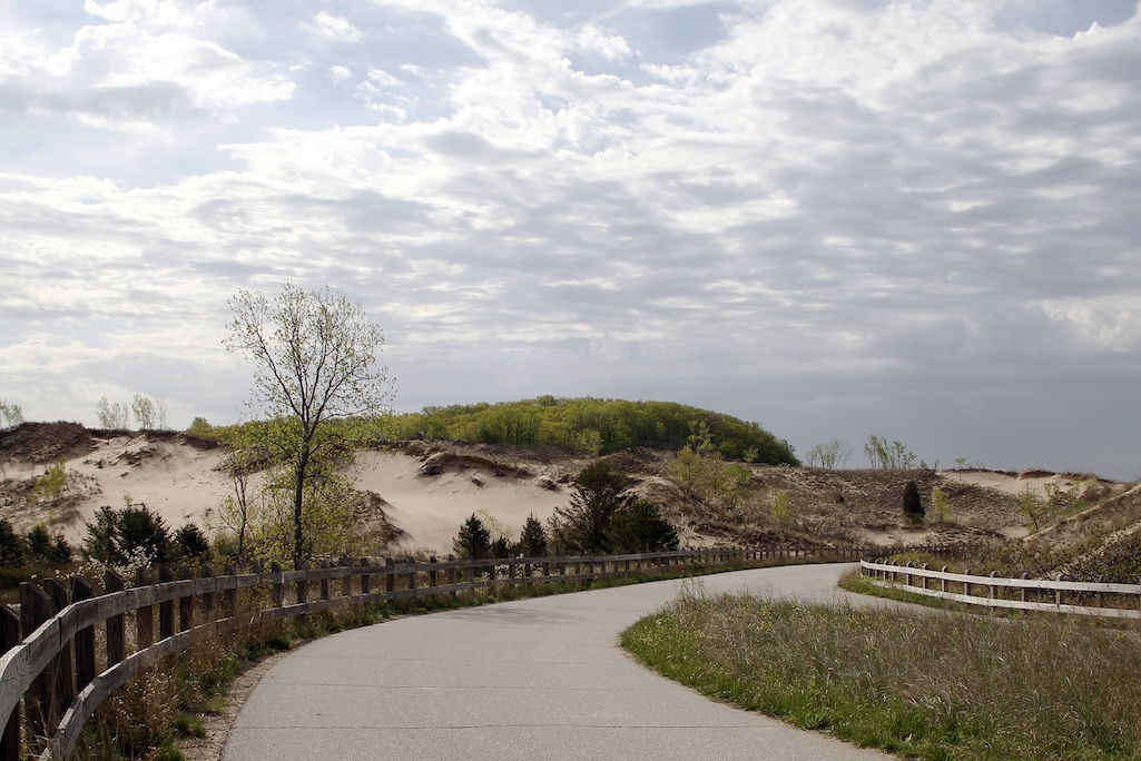 Student Conservation Association crews will work in the West Beach Area of Indiana Dunes National Park, and other areas, this fall to remove invasive vegetation and collective native seeds/NPS file Student Conservation Association crews will work in the West Beach Area of Indiana Dunes National Park, and other areas, this fall to remove invasive vegetation and collective native seeds/NPS file
