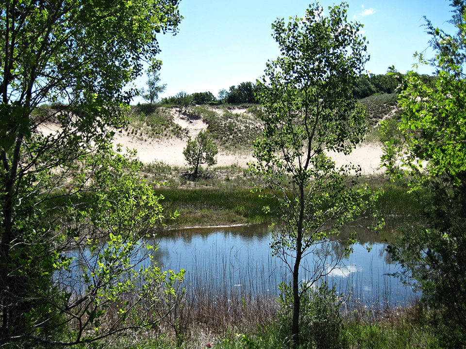 An inland wetland area at Indiana Dunes National Park / NPS-Katy KellerLynn