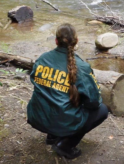 The ranks of National Park Service special agents reportedly are down 45 percent since 2003/NPS file The ranks of National Park Service special agents reportedly are down 45 percent since 2003/NPS file