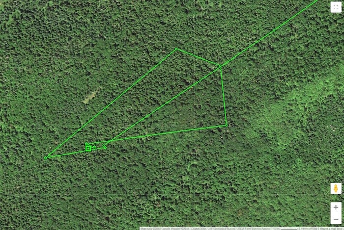 A GPS collar helped biologists monitor the movements of a female wolf transplanted on Isle Royale National Park/NPS