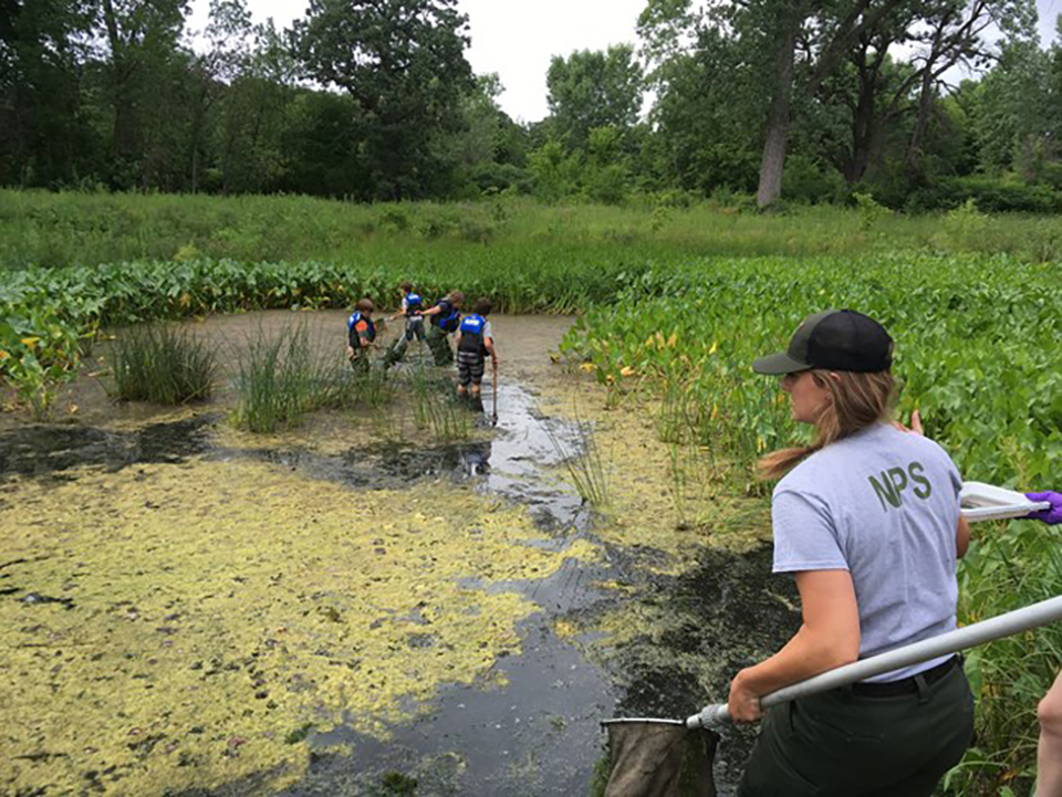 Looking for dragonfly larvae, Isle Royale National Park / National Park Service