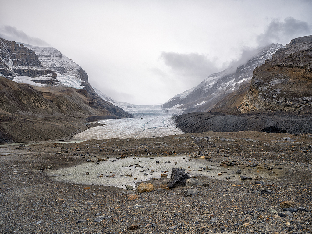 The view toward the Athabasca Glacier, Jasper National Park / Rebecca Latson The view toward the Athabasca Glacier, Jasper National Park / Rebecca Latson