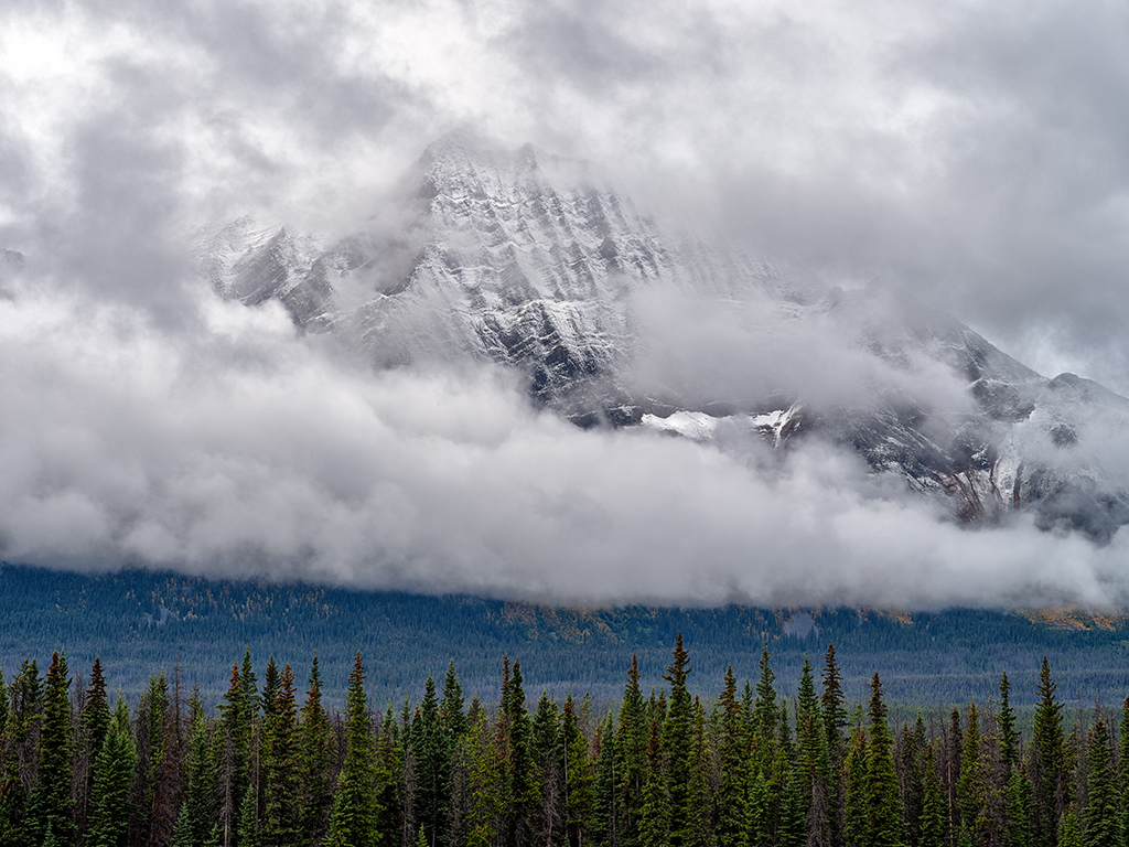 September layers in the Canadian Rockies, Jasper National Park / Rebecca Latson September layers in the Canadian Rockies, Jasper National Park / Rebecca Latson