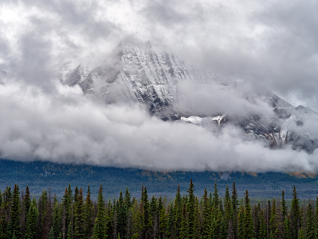 September layers, Jasper National Park / Rebecca Latson September layers, Jasper National Park / Rebecca Latson