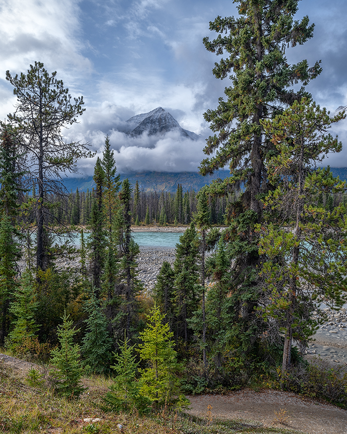 A pullout view along the Athabasca River, Jasper National Park / Rebecca Latson A pullout view along the Athabasca River, Jasper National Park / Rebecca Latson
