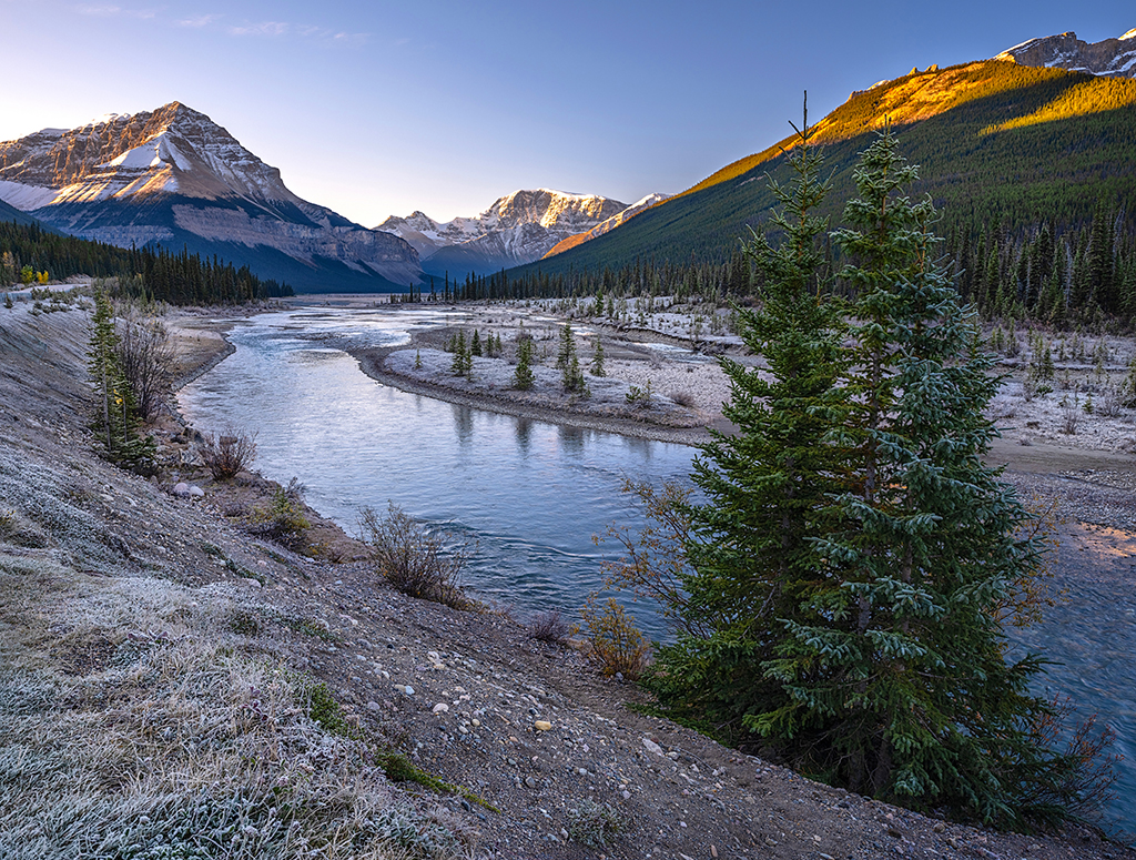 A frosty morning along the Athabasca River, Jasper National Park / Rebecca Latson A frosty morning along the Athabasca River, Jasper National Park / Rebecca Latson