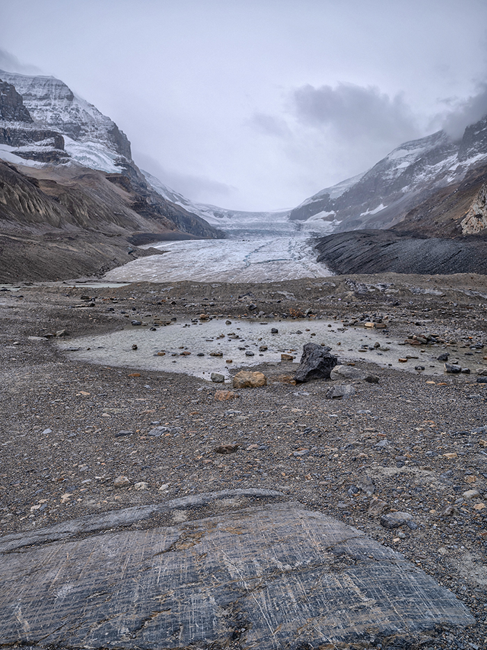 Athabasca Glacier scenery - focus stacked, Jasper National Park / Rebecca Latson Athabasca Glacier scenery - focus stacked, Jasper National Park / Rebecca Latson