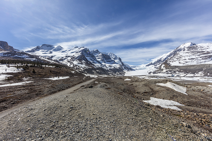 The Path To Views Of The Athabasca Glacier, Jasper National Park / Rebecca Latson The Path To Views Of The Athabasca Glacier, Jasper National Park / Rebecca Latson