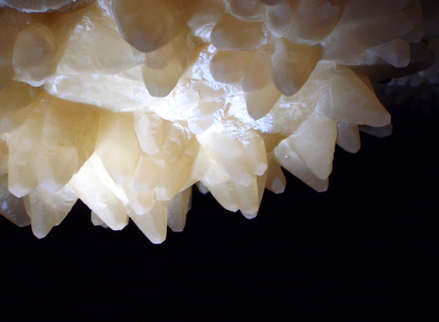 Calcite crystals are common formations in Jewel Cave, and a number of bat species are common visitors/NPS file