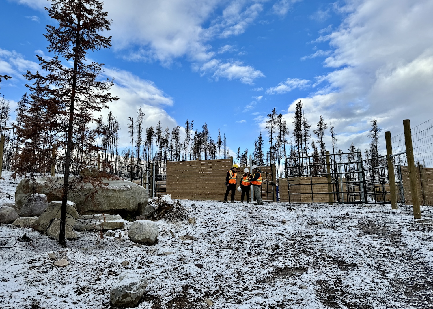 A summer wildfire set back construction of Jasper's Caribou Conservation Breeding Centre. A summer wildfire set back construction of Jasper's Caribou Conservation Breeding Centre.