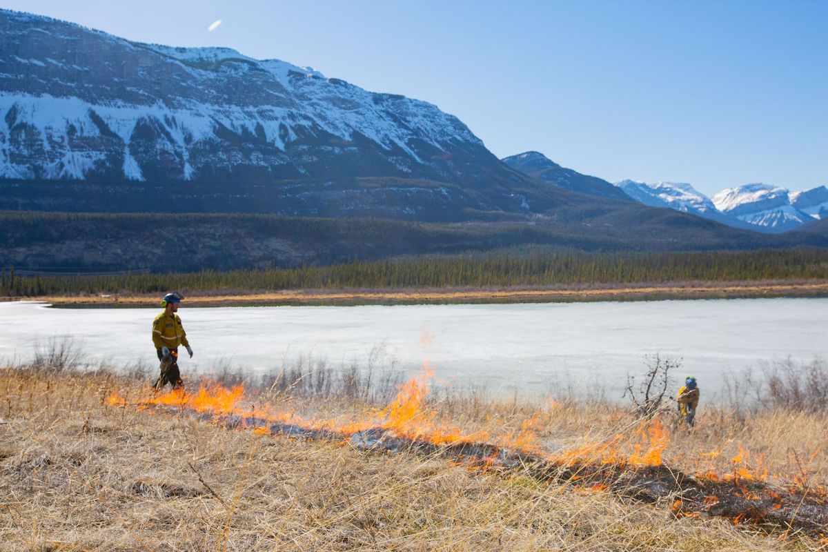 This 2021 file photo shows Parks Canada doing a prescribed fire in Jasper National Park. This 2021 file photo shows Parks Canada doing a prescribed fire in Jasper National Park.