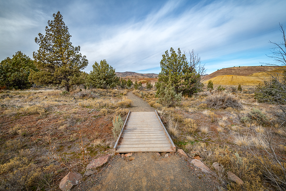 The trail to Leaf Hill, John Day Fossil Beds National Monument / Rebecca Latson
