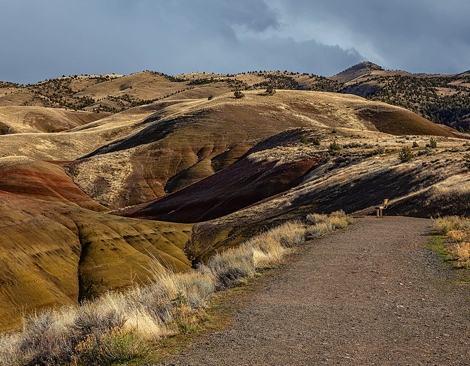 A seat with a view along the Painted Hills Overlook Trail, John Day Fossil Beds National Monument / Rebecca Latson