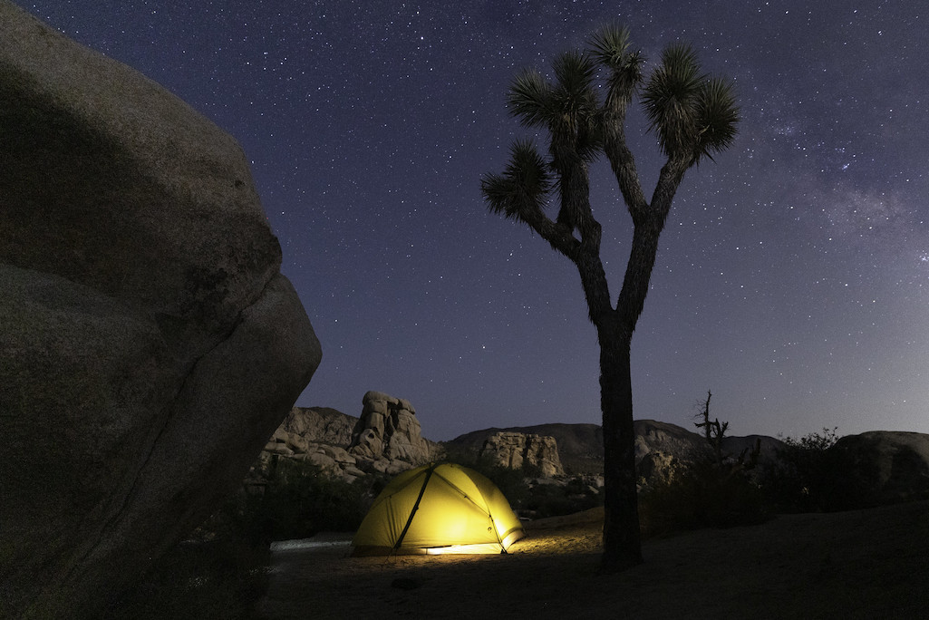 How you pay for camping at Joshua Tree National Park has changed/NPS file