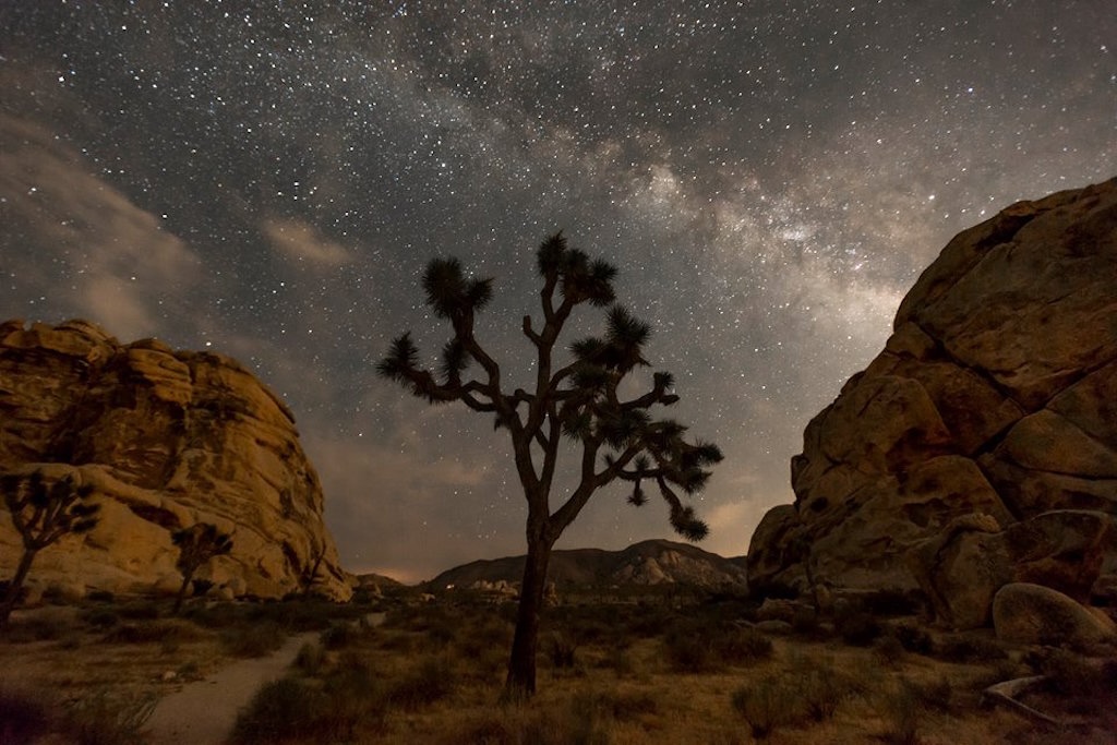 The top Democrat on the House Natural Resources Committee has grave concerns about the Trump administration's approach to the environment and national parks/NPS file