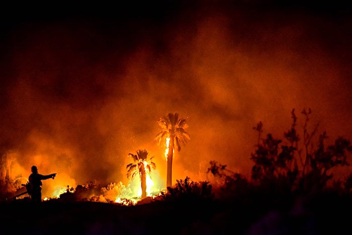 A California man has been charged with setting fire to the Oasis of Maria at Joshua Tree National Park/NPS A California man has been charged with setting fire to the Oasis of Maria at Joshua Tree National Park/NPS