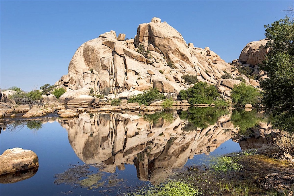 Spring months will be busy at Joshua Tree National Park; see if you can find a new secret place there/NPS file