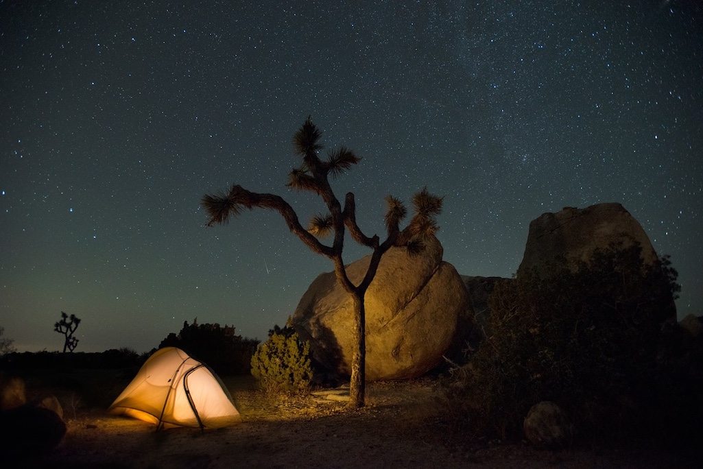 The cost of camping in Joshua Tree National Park could be increasing/NPS file