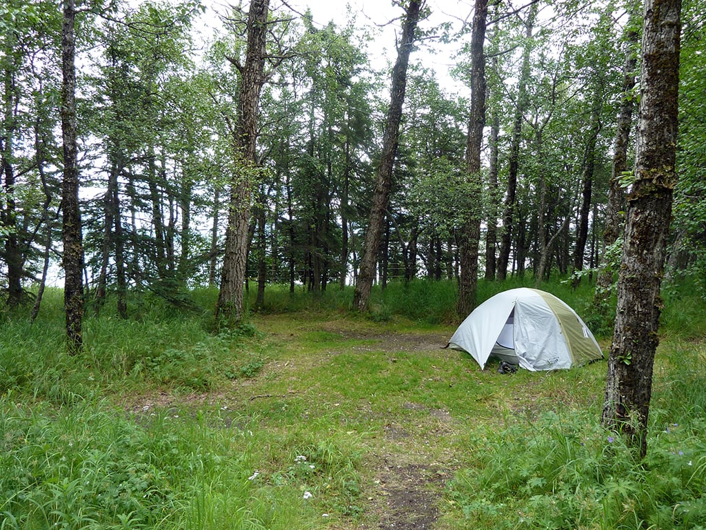 A tent at Brooks Camp, Katmai National Park and Preserve / NPS file A tent at Brooks Camp, Katmai National Park and Preserve / NPS file