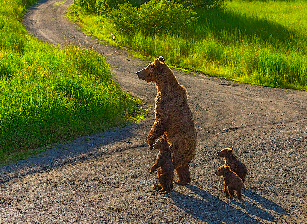 Who will provide essential coverage of the National Park System if the National Parks Traveler goes dark? / Rebecca Latson file