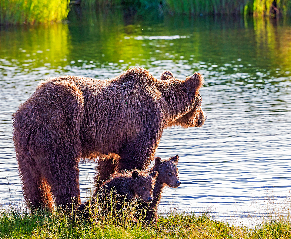 Family, Katmai National Park and Preserve / Rebecca Latson