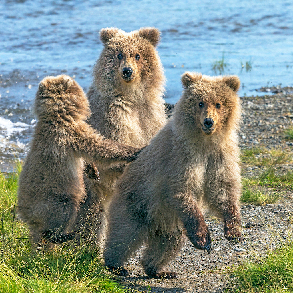 Your support on Giving Tuesday helps Traveler cover national parks and their locals/Rebecca Latson file Your support on Giving Tuesday helps Traveler cover national parks and their locals/Rebecca Latson file