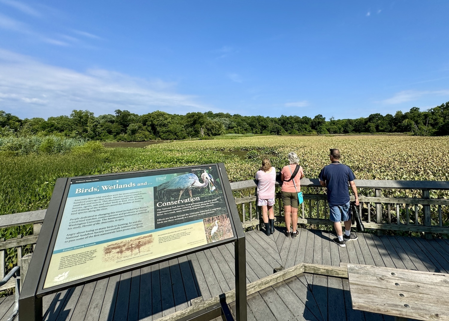 A boardwalk at Kenilworth Park & Aquatic Gardens leads to Kenilworth Marsh. A boardwalk at Kenilworth Park & Aquatic Gardens leads to Kenilworth Marsh.