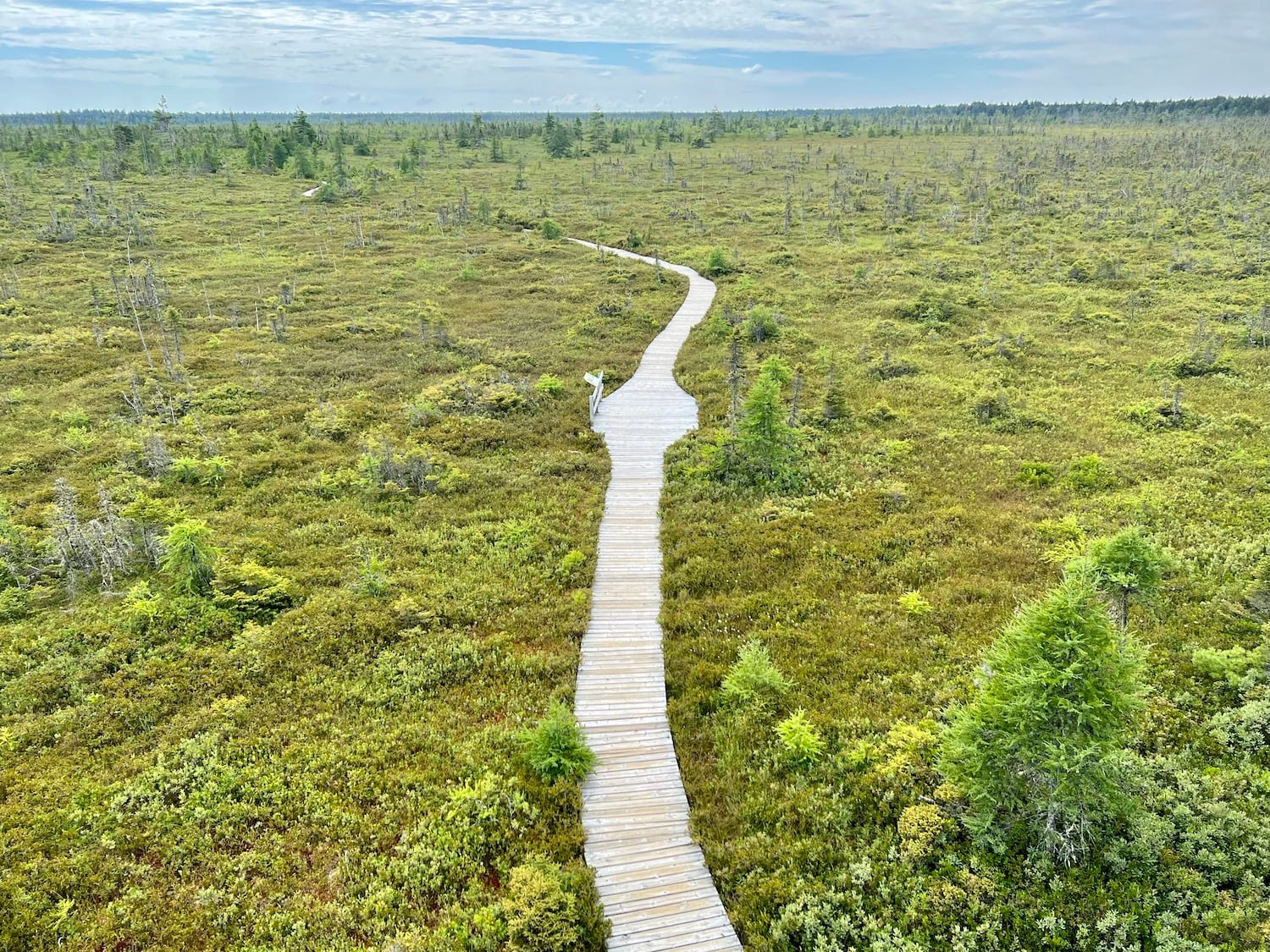 While Kouchibouguac is a coastal park, it also has bogs and this is the view from an observation tower on the Bog Trail.