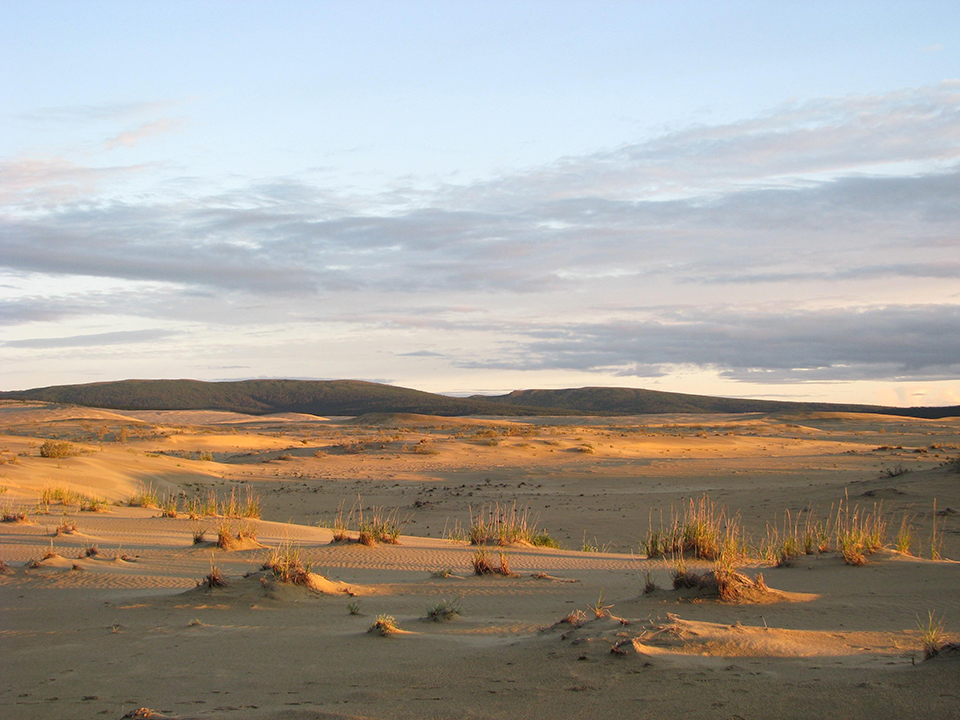 Evening light on the dunes in Kobuk Valley National Park / National Park Service