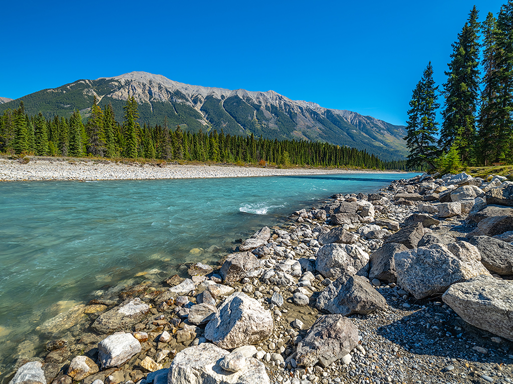 The cold, turquoise water of Kootenay River, Kootenay National Park / Rebecca Latson The cold, turquoise water of Kootenay River, Kootenay National Park / Rebecca Latson