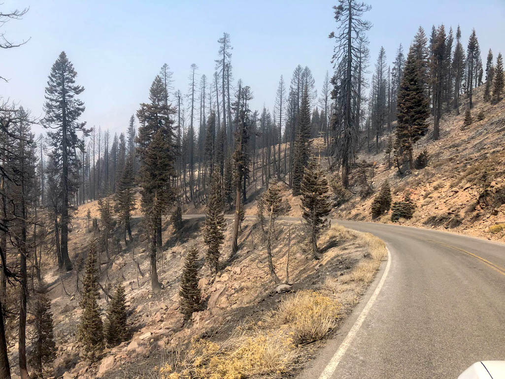 Effects of the Dixie Fire on Lassen Volcanic National Park Highway east of Kings Creek area and above Warner Valley/NPS