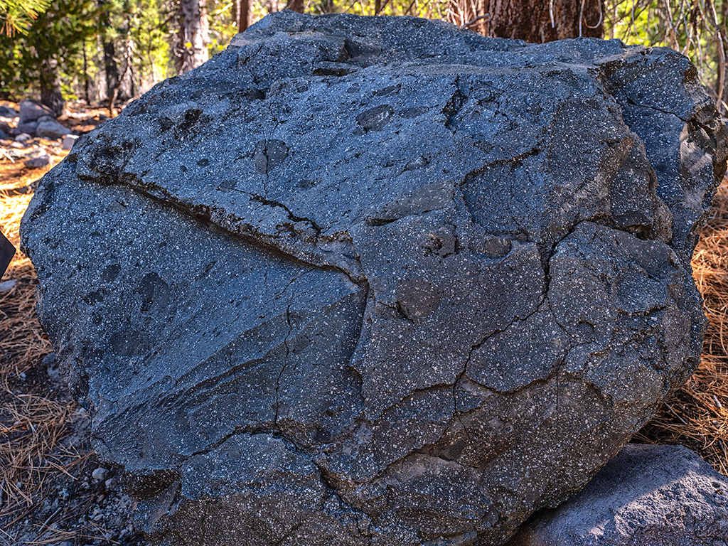 Along the Devastated Area Interpretive Trail, you can view huge dacite boulders with "quenched blobs" of rapidly cooled basalt in them, Lassen Volcanic National Park / Rebecca Latson