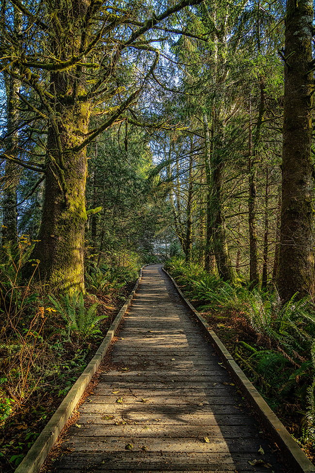 A boardwalk trail down to the Netul River, Lewis and Clark National Historical Park / Rebecca Latson A boardwalk trail down to the Netul River, Lewis and Clark National Historical Park / Rebecca Latson