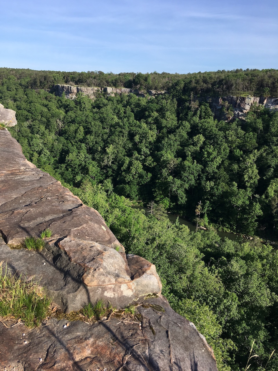 Gazing into Little River Canyon/Jane Schneider