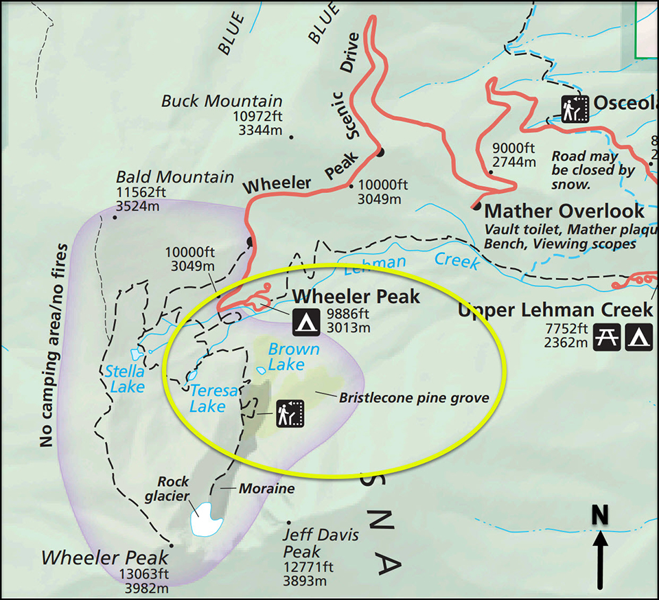 Park map close-up of the Bristlecone Grove Trail, Great Basin National Park / National Park Service