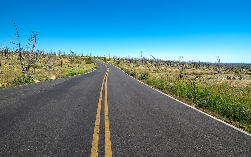 The road toward Mesa Top Loop, Mesa Verde National Park / Rebecca Latson