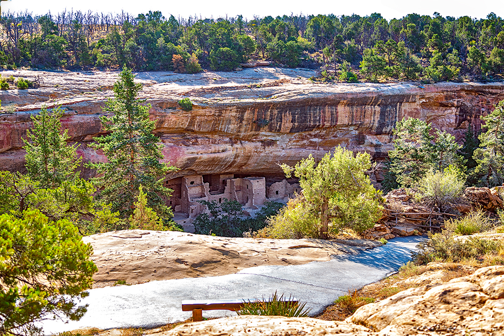 A bench with a view of Spruce Tree House, Mesa Verde National Park / Rebecca Latson