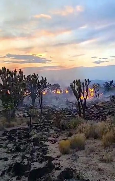 The Dome Fire was burning through forests of Joshua trees/SoCal Air Ops