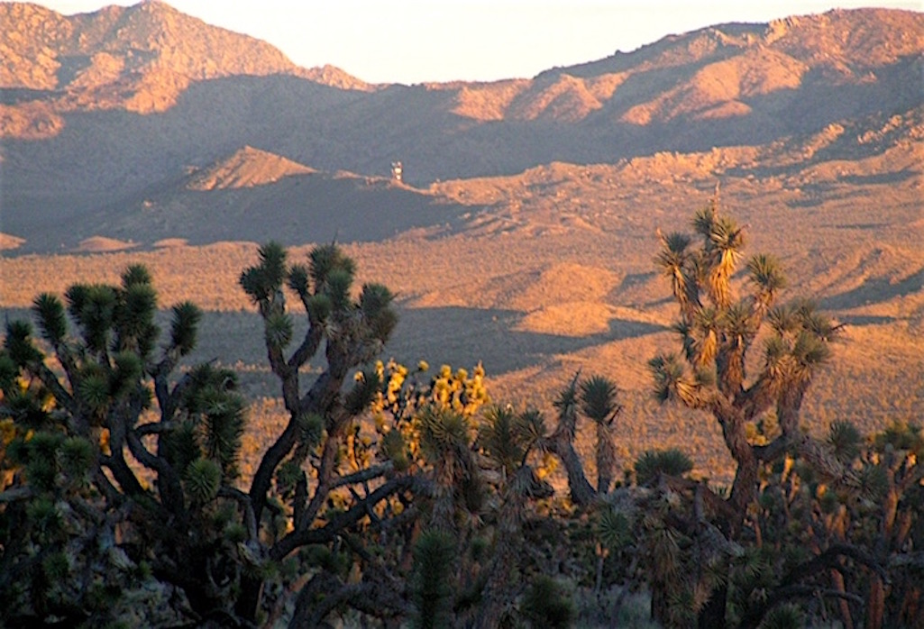 A federal judge has directed the U.S. Bureau of Land Management to take another look at a proposed water project in the Mojave Desert/NPS file