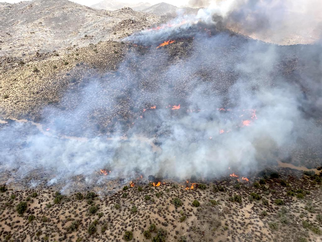 Smoke and flames rise above light vegetation on the York Fire, Mojave National Preserve/Inciweb