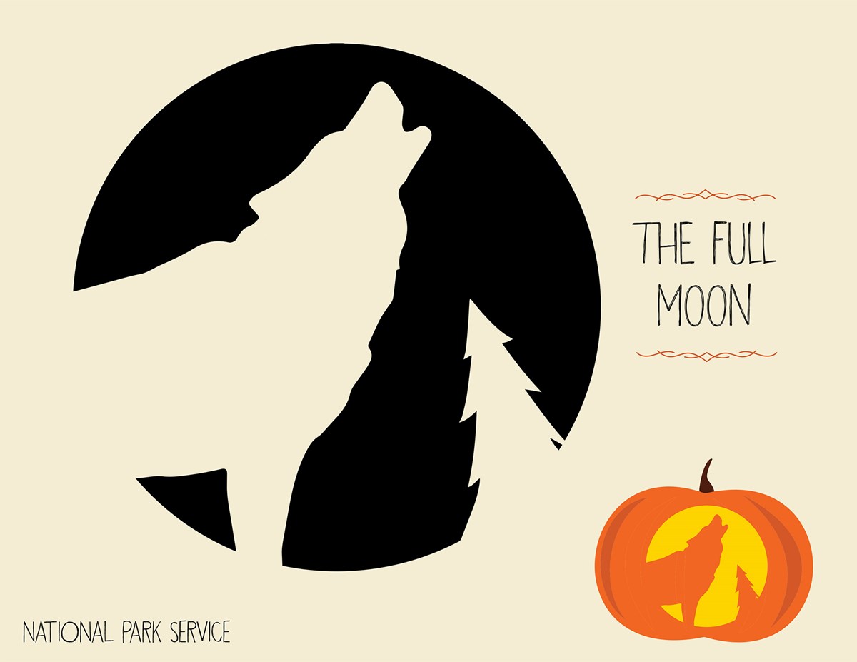 moon template/nps moon template/nps