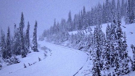 Monday, June 7, was a snowy day at Paradise in Mount Rainier National Park/NOAA