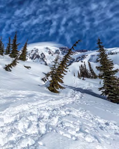 Winter's snows hang around a long time at Mount Rainier/Rebecca Latson Winter's snows hang around a long time at Mount Rainier/Rebecca Latson