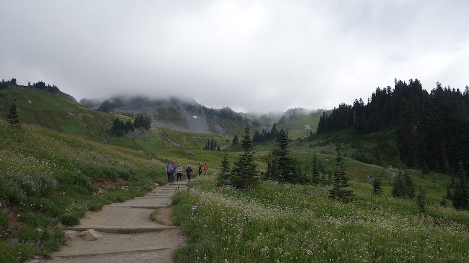 Citizen scientists play a great role in collecting data at Mount Rainier National Park/WNPF Citizen scientists play a great role in collecting data at Mount Rainier National Park/WNPF